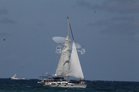 ANCHOR MANAGEMENT.02
