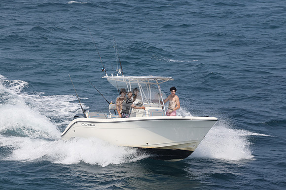 COBIA.WHITE.25