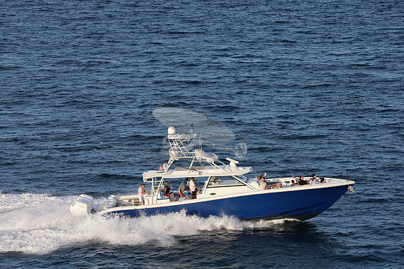 alegrias.bay harb.yellowfin.22