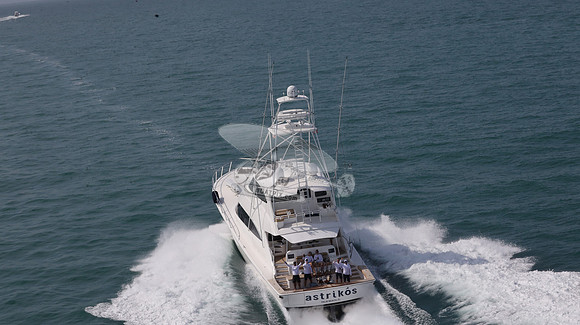 astrikos.palm beach.3203