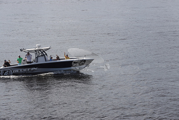 Bluefin marine.11