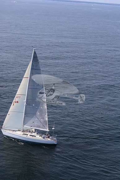 3.stormey pretrel.9
