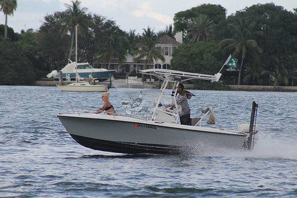 FL1184GL.07