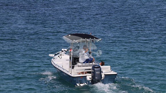 FL1281TA.02