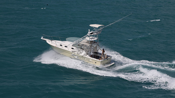 fl0812mu.1611