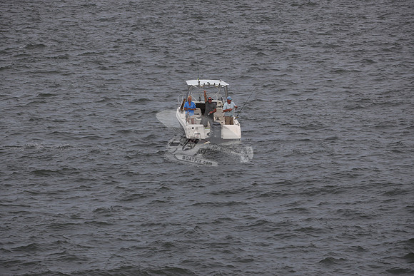 COBIA.2