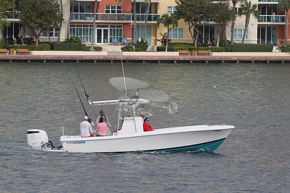 FL7466NH.07