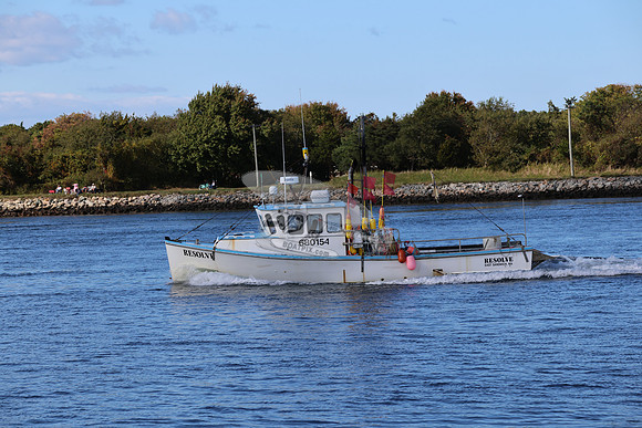resolve.east sandwich.2