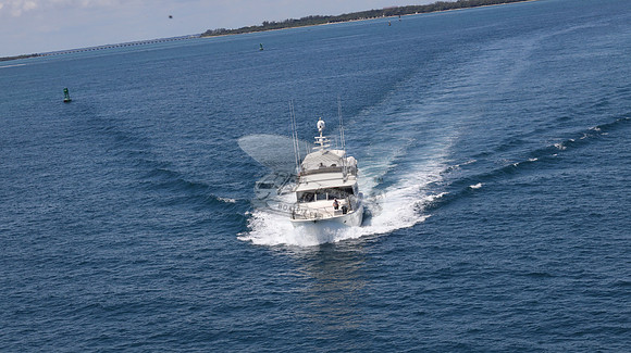 absolute lady.fort lauderdale fl.0436
