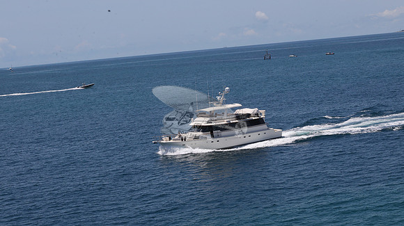 absolute lady.fort lauderdale fl.0445