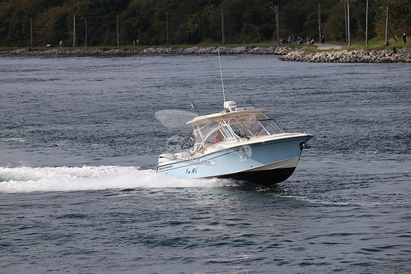 ms9906bt.1