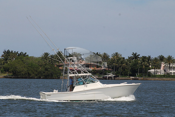 FISH HAPPENS.LANTANA FL.TOPAZ.11