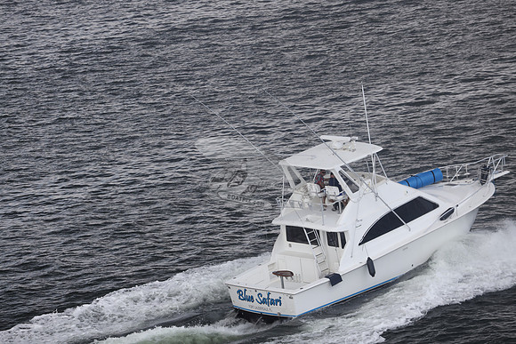 blue safari.laud.ocean.22