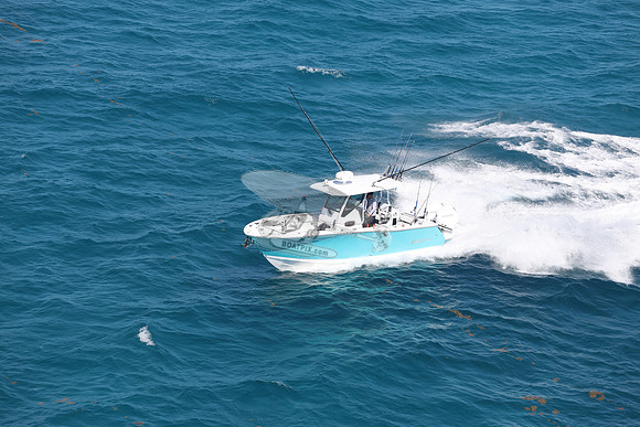 BLACKFIN27.13