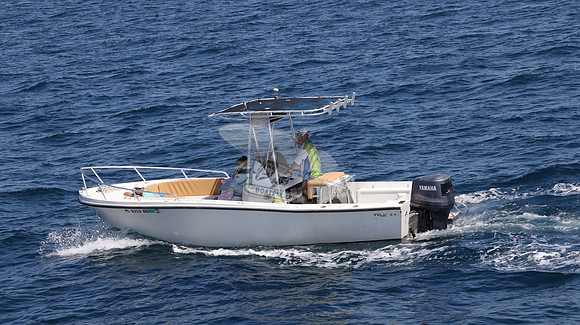 FL0253DE.08