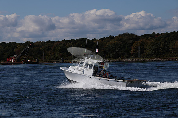 ms8866hy.12