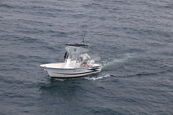 FL2022MB.RIPARIUS VI.12