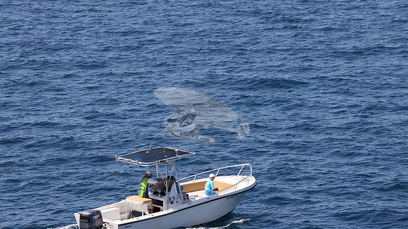 FL0253DE.117