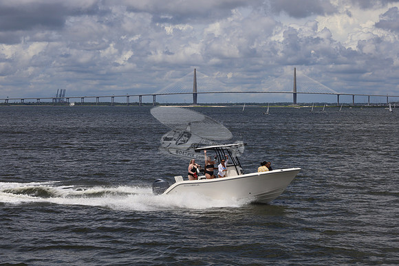 Cobia.yamaha.13