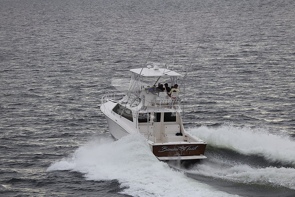 bimini twist.4