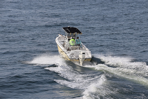 FL1588NU.01