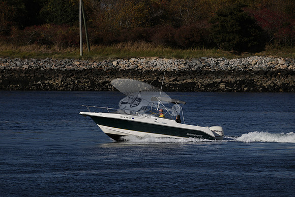 ms4316br.05