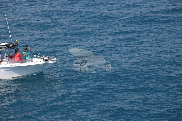 fl1436ka.16
