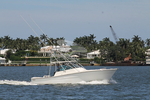 FISH HAPPENS.LANTANA FL.TOPAZ.04
