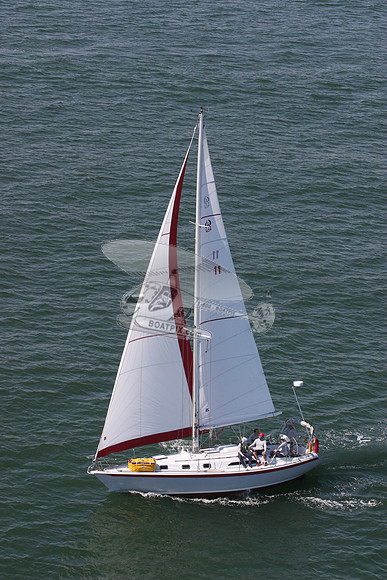 11.skalawag.4919