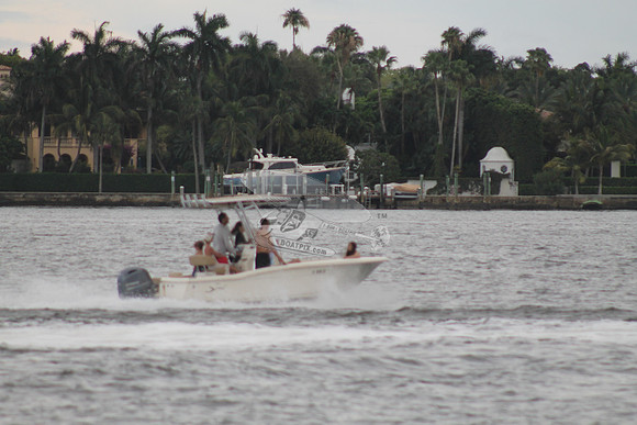 FL0786SX.809