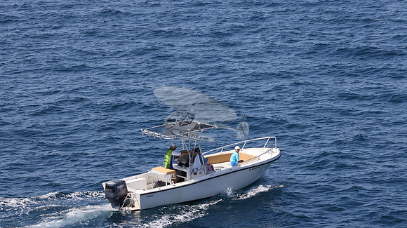 FL0253DE.116