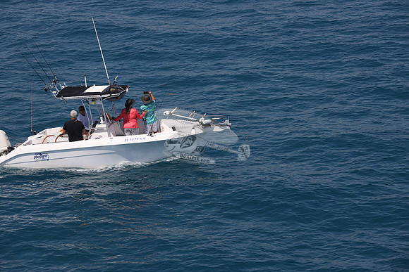 fl1436ka.14