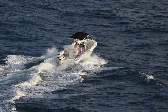 FL0196MP.02
