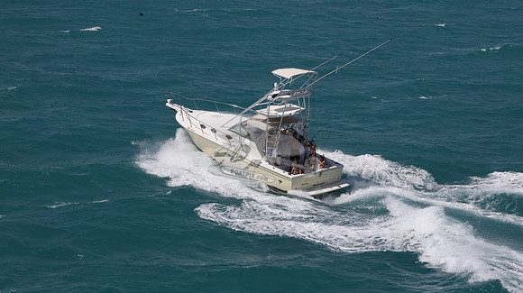 fl0812mu.1607