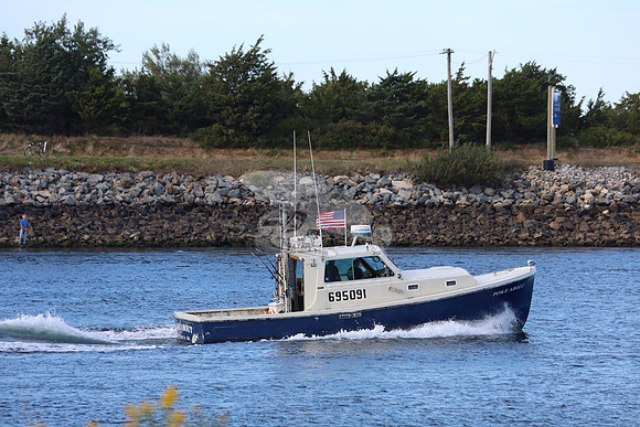 695091.poke about.sandwich ma.5345