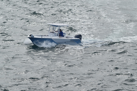 FL0661TN.86