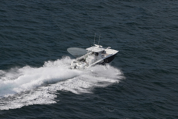 double down.cat.2 merc.15