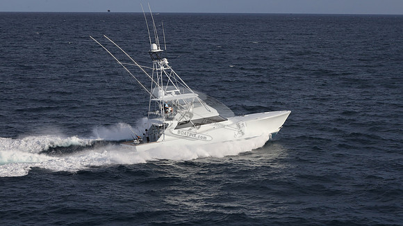 CHASIN TAIL.SINGER ISLAND.2944