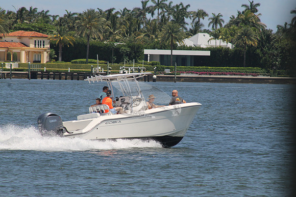 COBIA.14