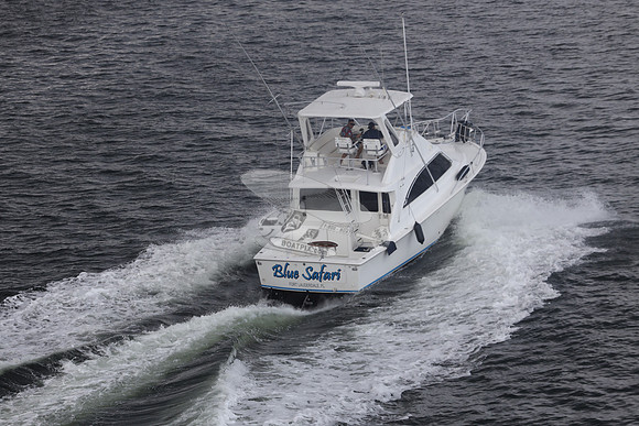 blue safari.laud.ocean.18