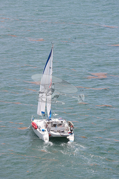 58.PDQ36.49