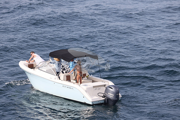 FL0314TD.SEA YA.12