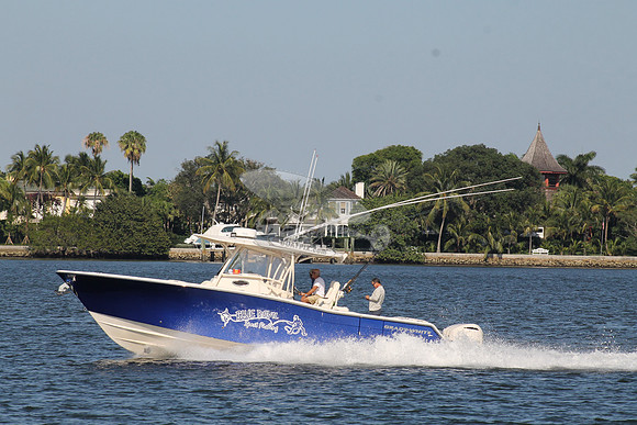 BLUE DEVIL.OCEAN RIDGE FL.GRADY WHITE.09