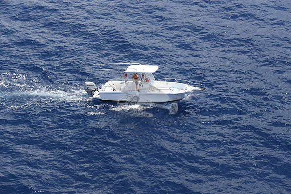 FL2395MW.1