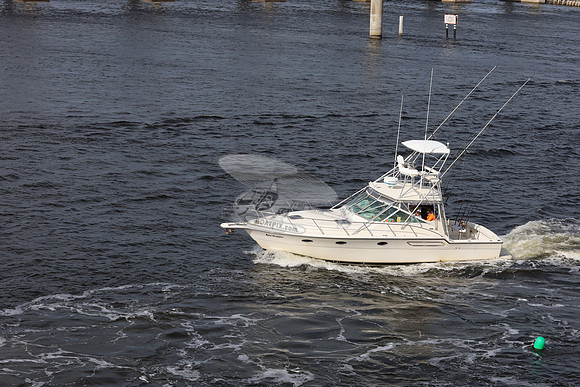 Apex Predator.ft pierce.03