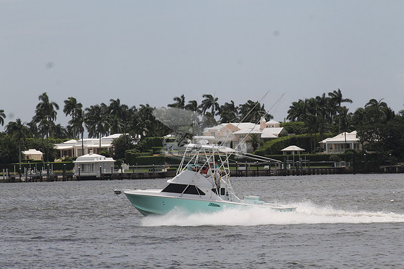 Bertram 28 green.09