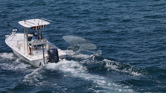 FL0364TD.812