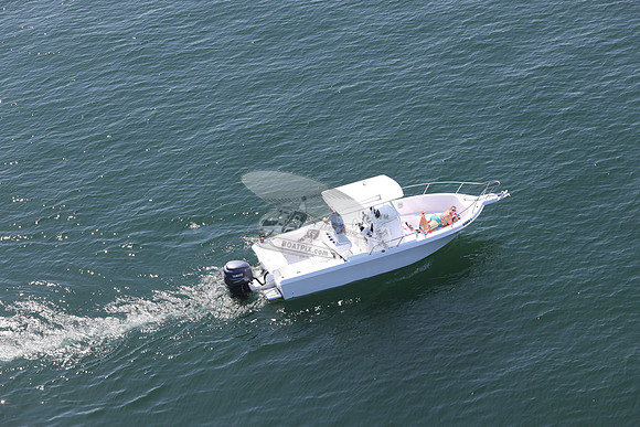 ga0368un.6510