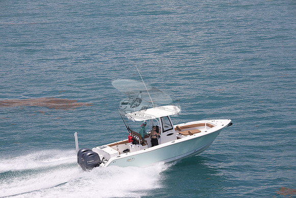fl1853sl.sea hunt.green 2 yamah.09