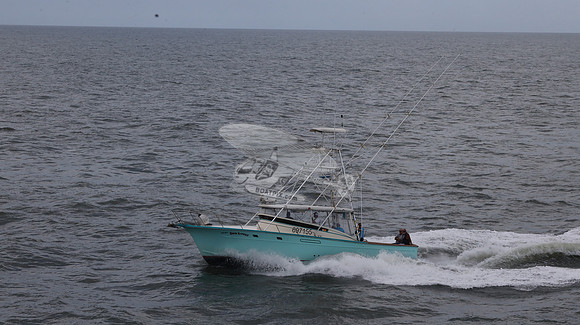 697155.hull's sea lover.ponce inlet fl.9439
